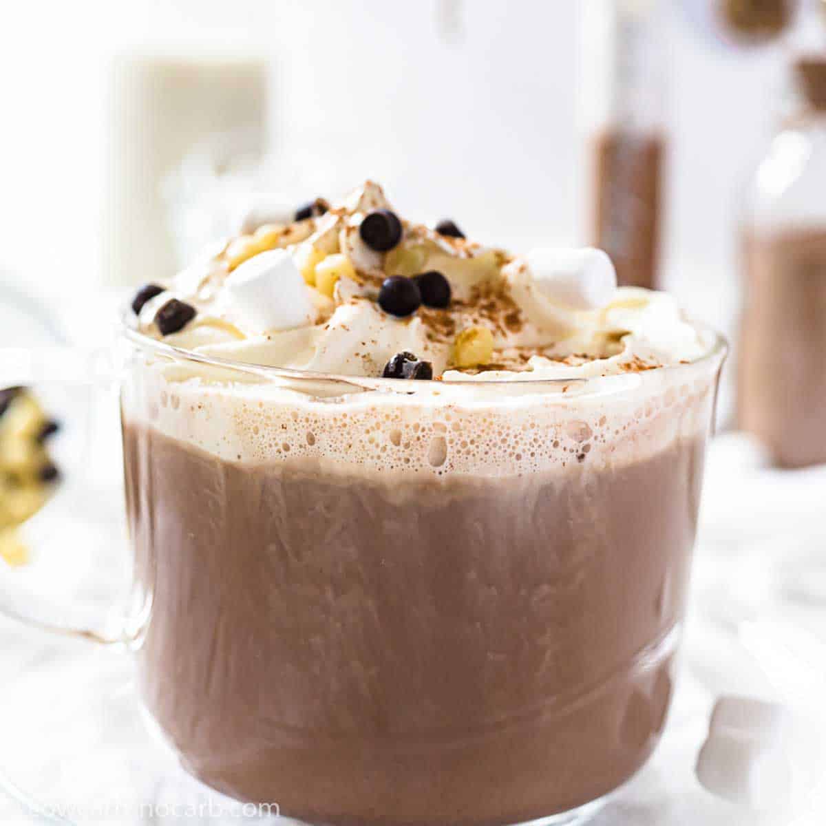 A glass mug filled with hot chocolate, topped with whipped cream, marshmallows, chocolate chips, and a sprinkle of cinnamon.