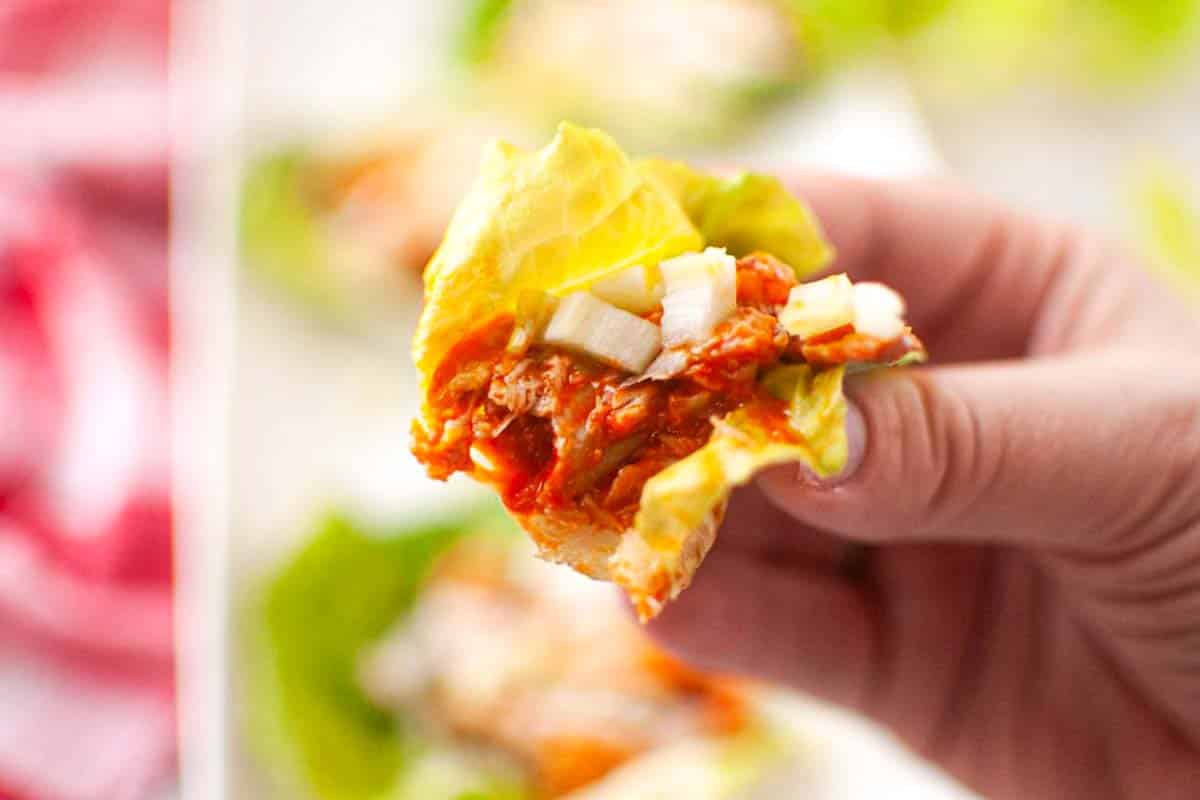 Hand holding chicken lettuce wrap close up.