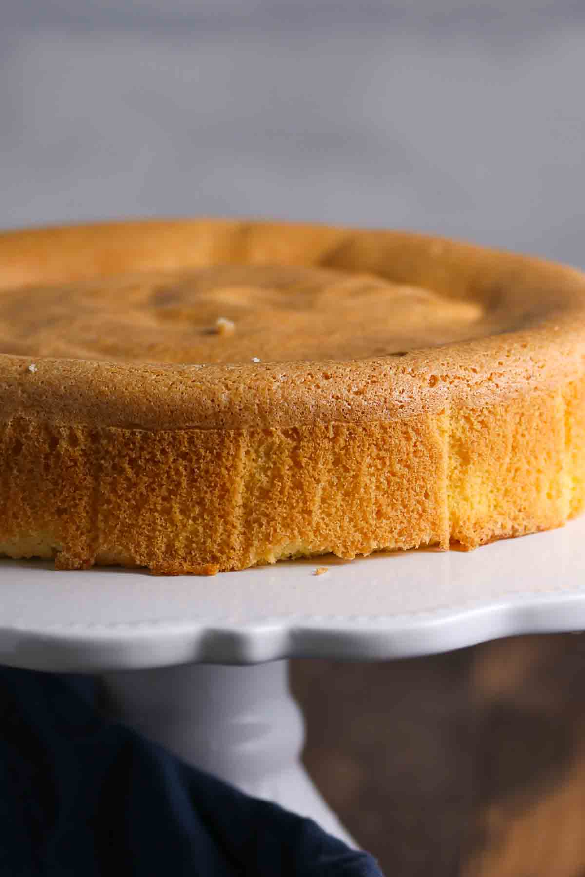 A plain, round sponge cake sits on a white cake stand against a neutral background.