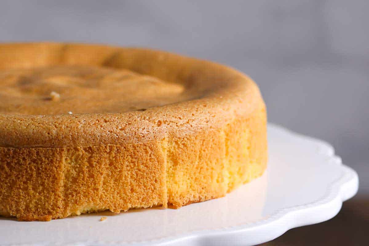 A plain, round sponge cake sits on a white cake stand against a blurred gray background.