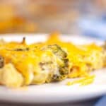 Close-up of a cheesy broccoli casserole on a white plate, with melted cheddar cheese on top.